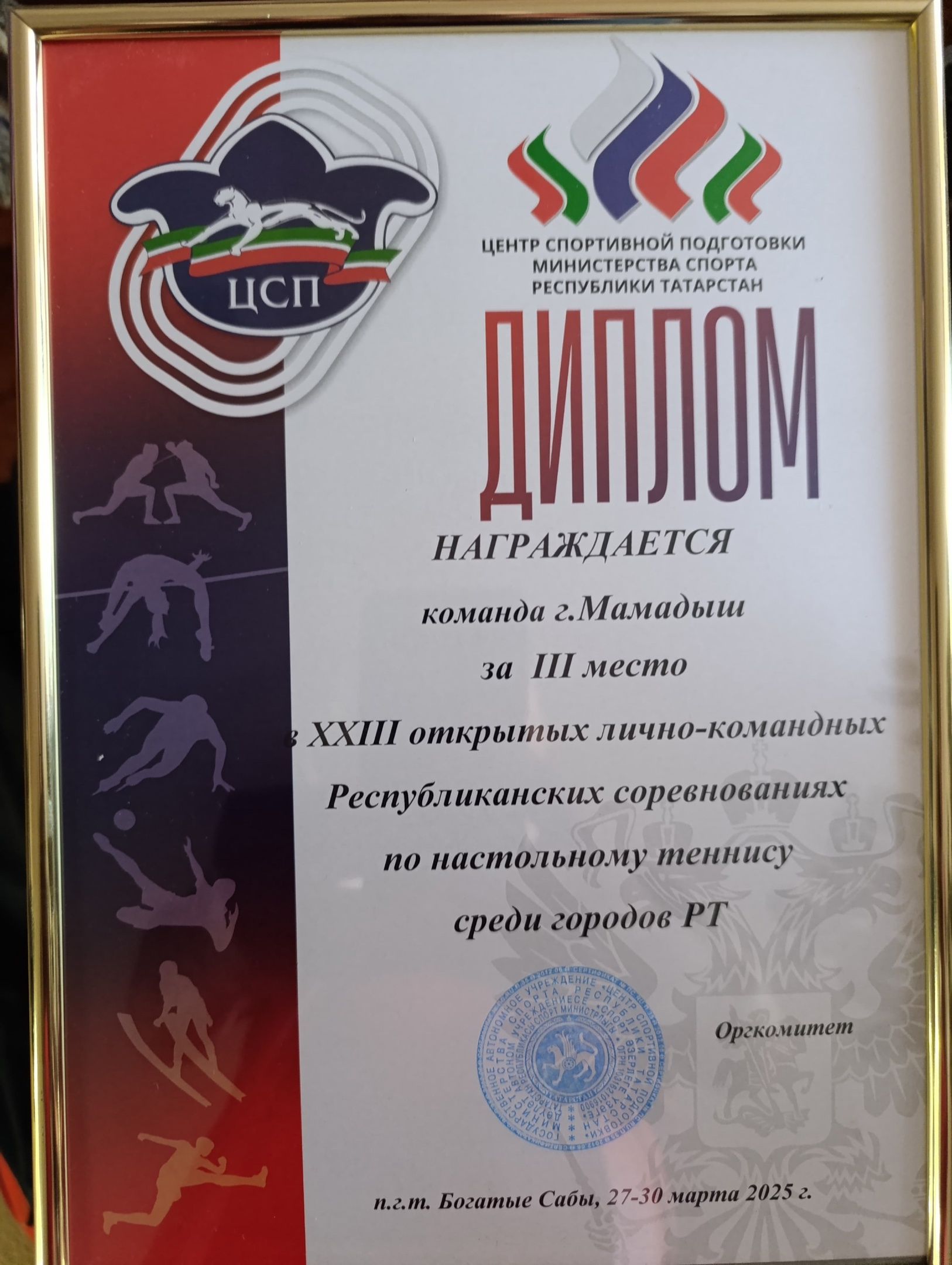 Мамадышские теннисисты вошли в тройку лучших в республиканских соревнованиях