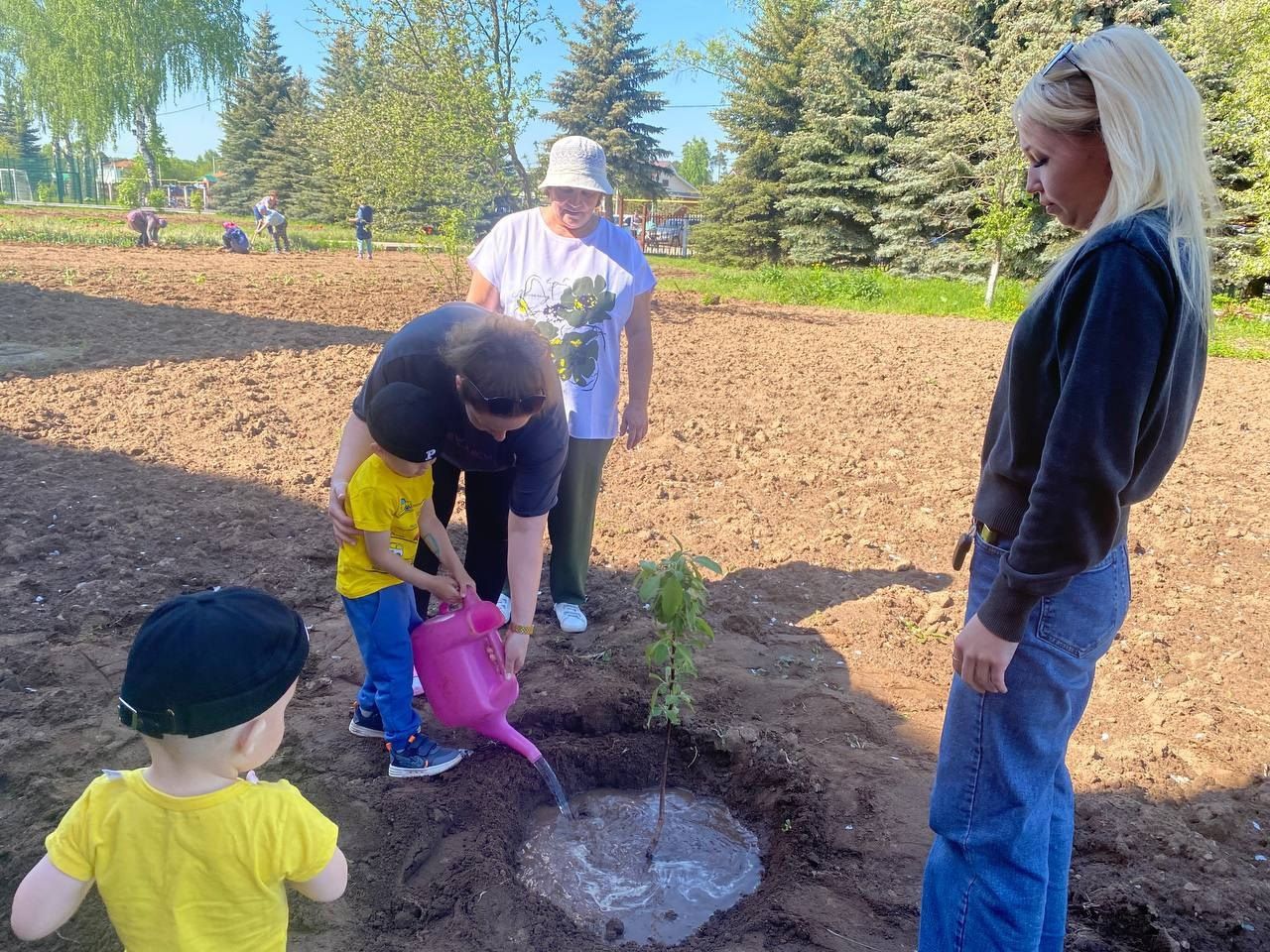 В Мамадышском районе высадили дерево в память о герое СВО