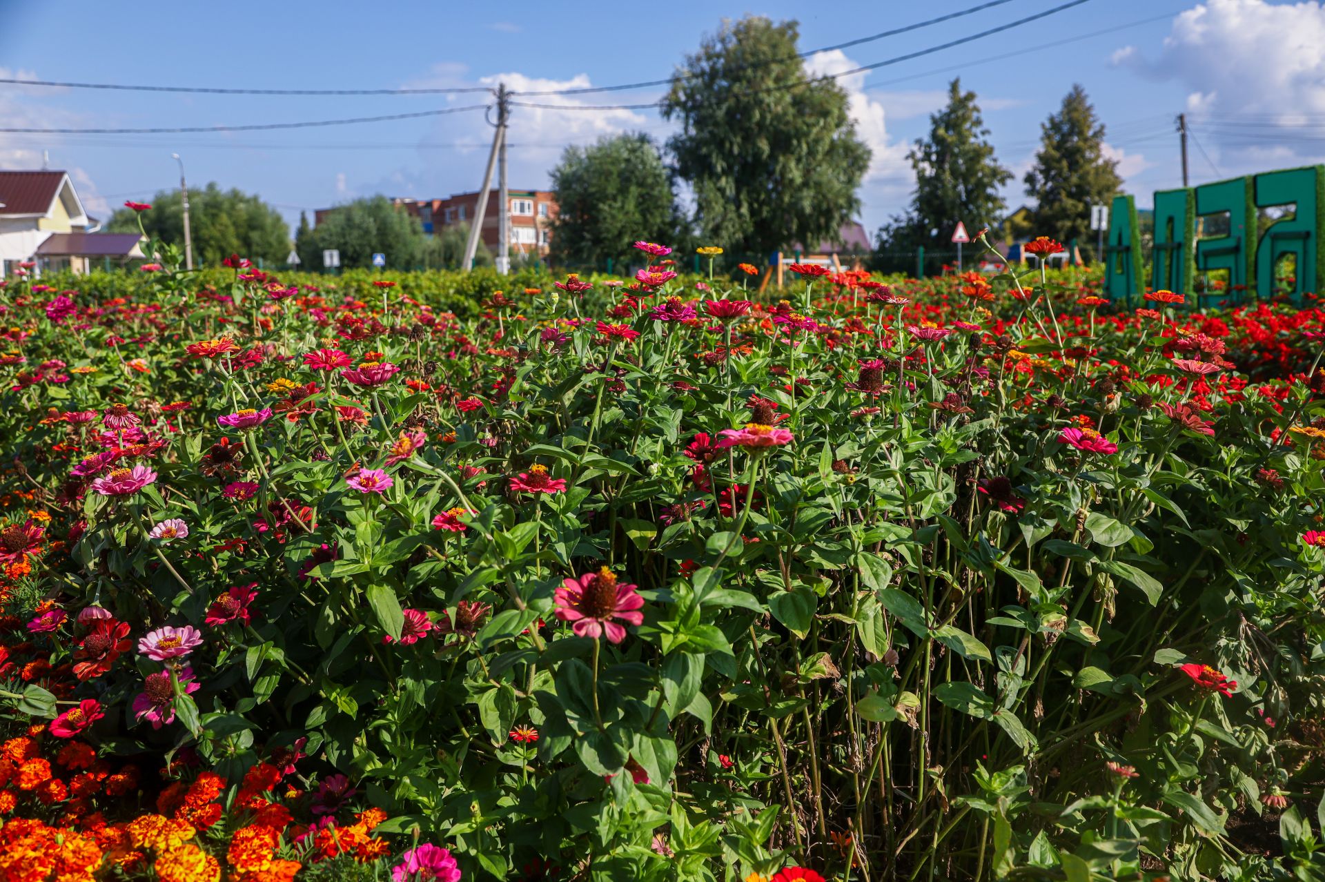 Цветочный гран-при в Мамадыше получила Красногорская школа