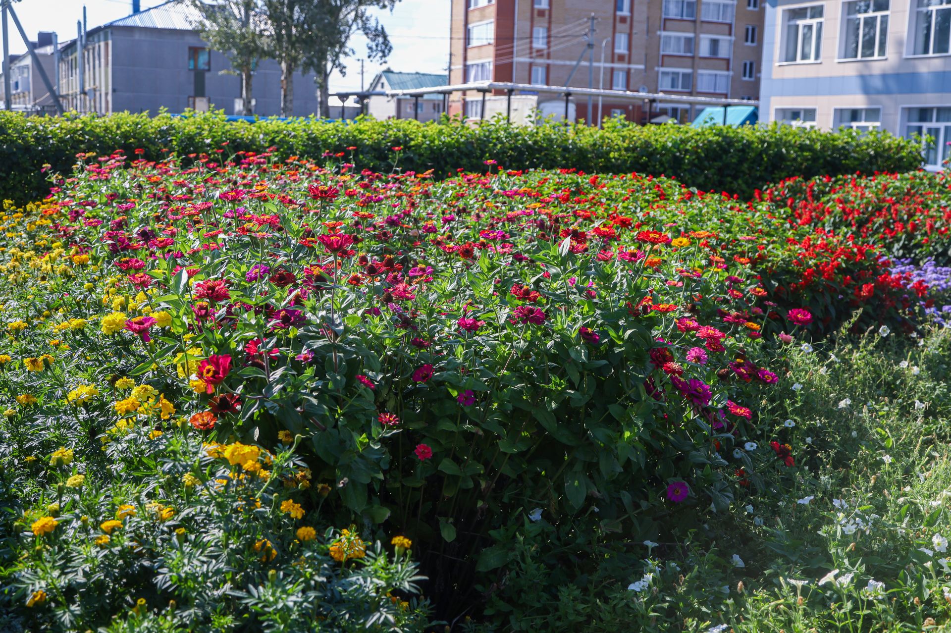 Цветочный гран-при в Мамадыше получила Красногорская школа