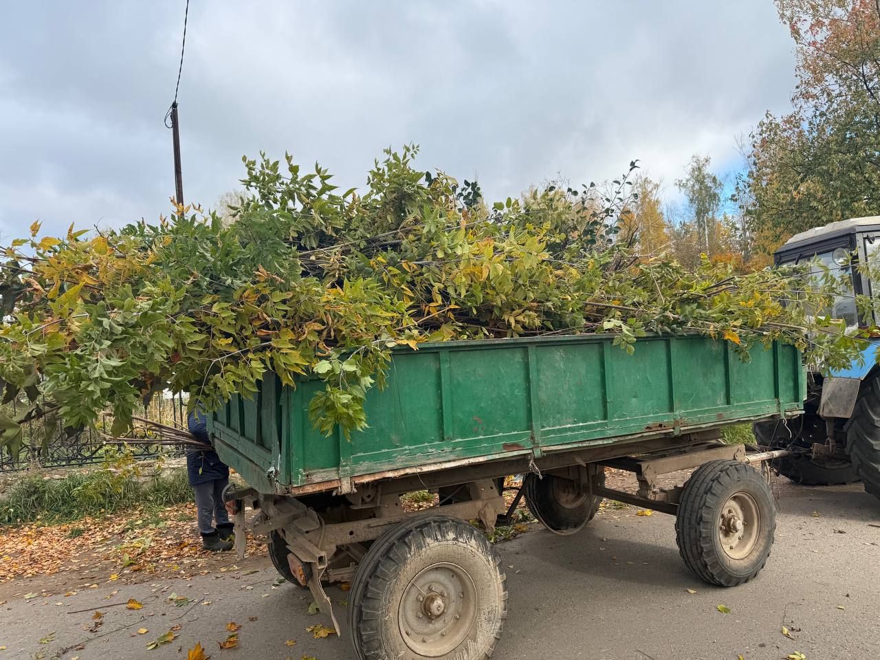Мамадышцы приняли участие на общегородском субботнике