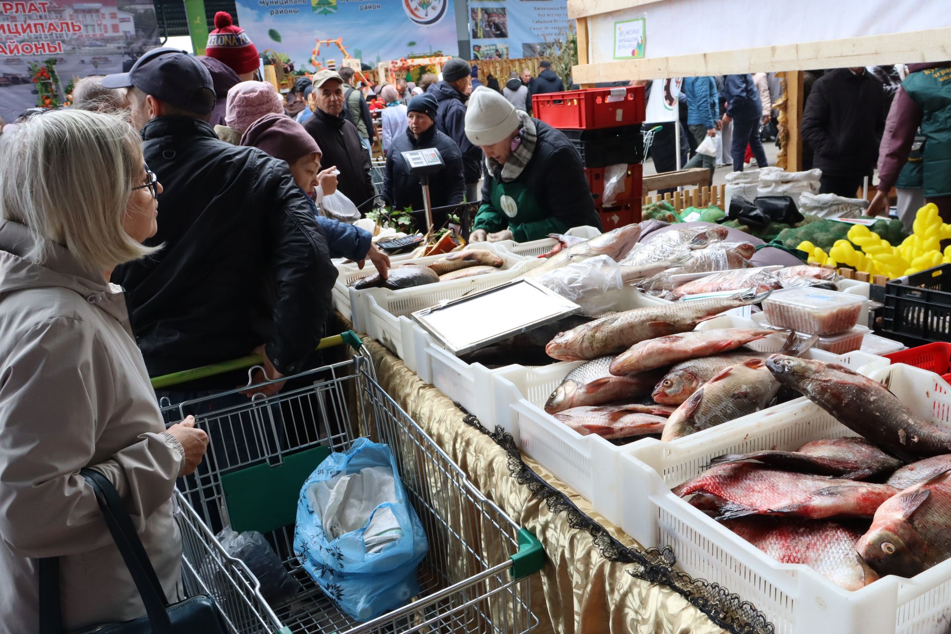 Мамадышцы отмечены наградой на республиканской ярмарке «Город мастеров»