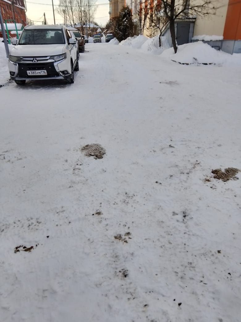 Вместе мы сила: как жители Мамадыша могут сделать свой двор лучше