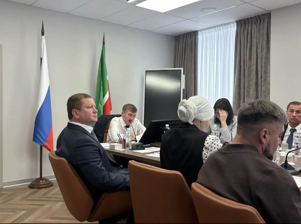 Глава Мамадышского района участвовал в заседании рабочей группы Минэкономики РТ
