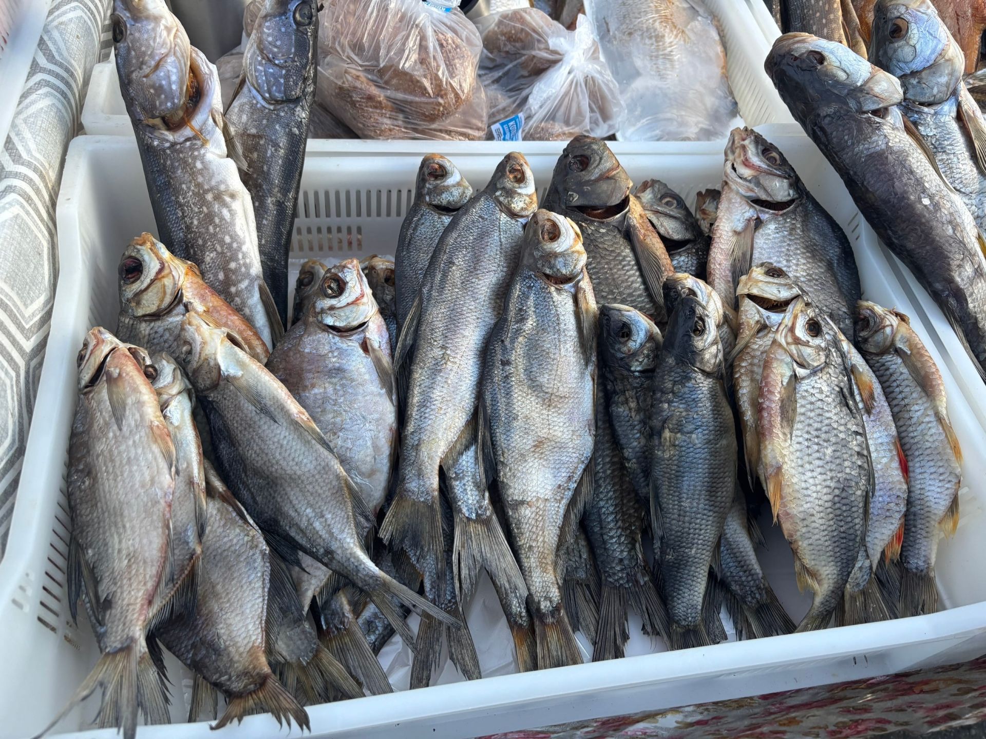 В Мамадыше прошла сельскохозяйственная