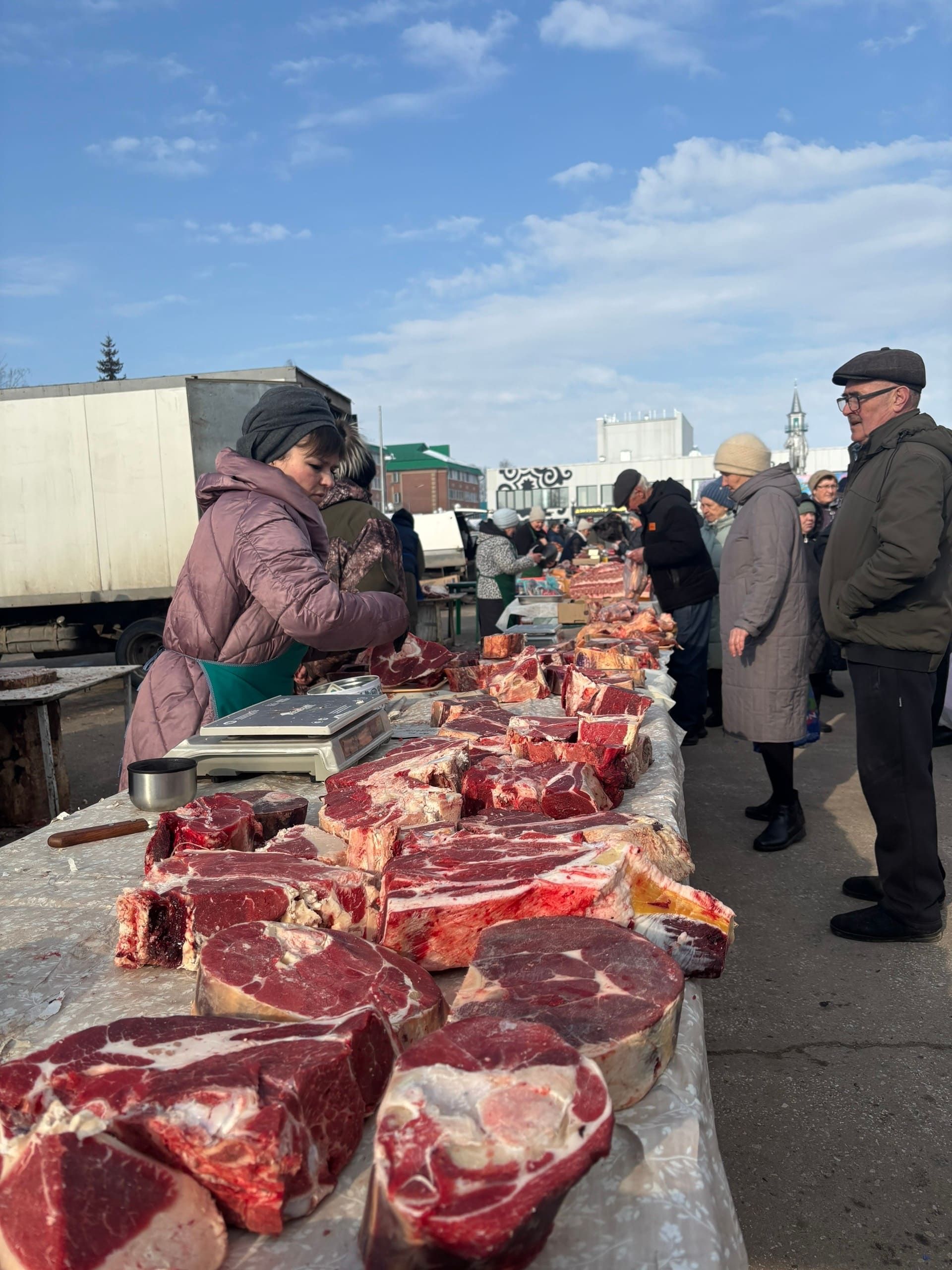 В Мамадыше прошла сельскохозяйственная