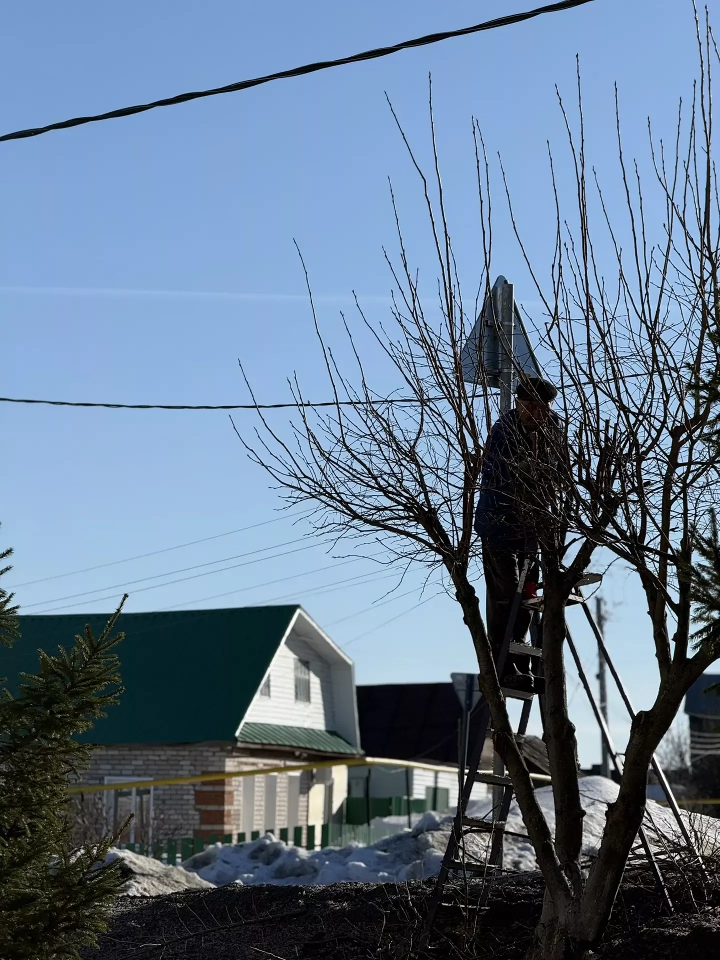 В Мамадыше «Зелёный двор» приводит деревья в порядок