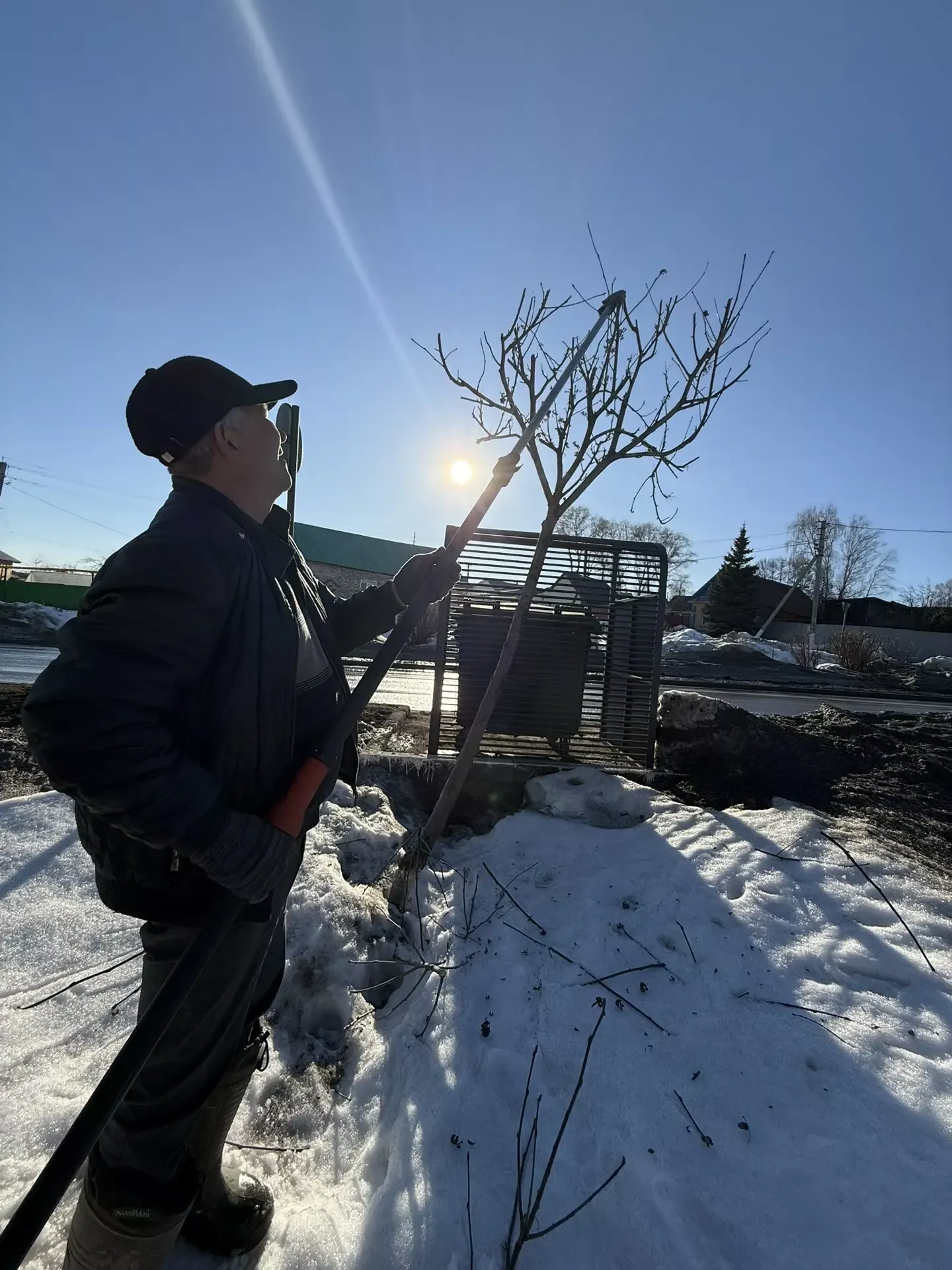 В Мамадыше «Зелёный двор» приводит деревья в порядок