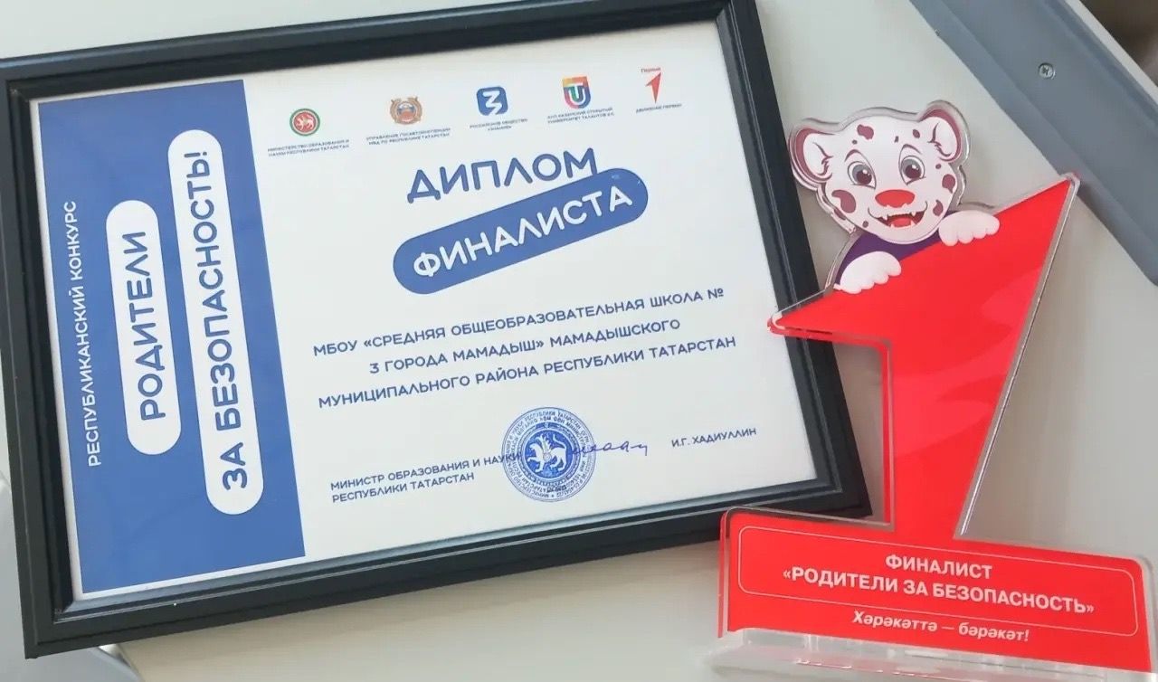 Мамадышцы стали финалистами конкурса «Родители за безопасность»
