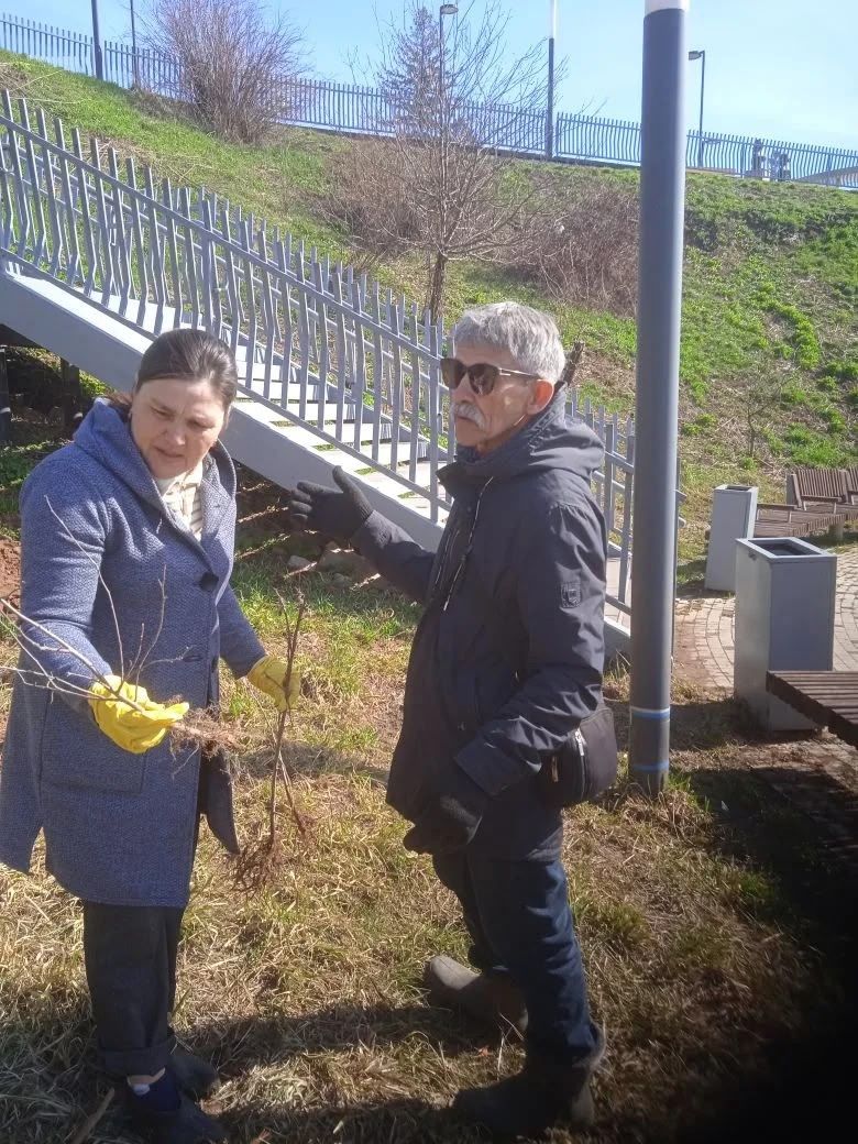 В Мамадыше высадили яблоневую аллею в память о чернобыльцах