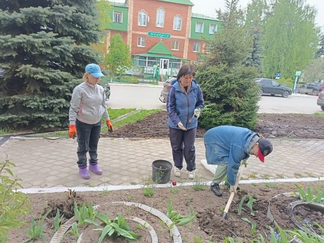 В Детской школе искусств прошел субботник: сотрудники вышли озеленять территорию