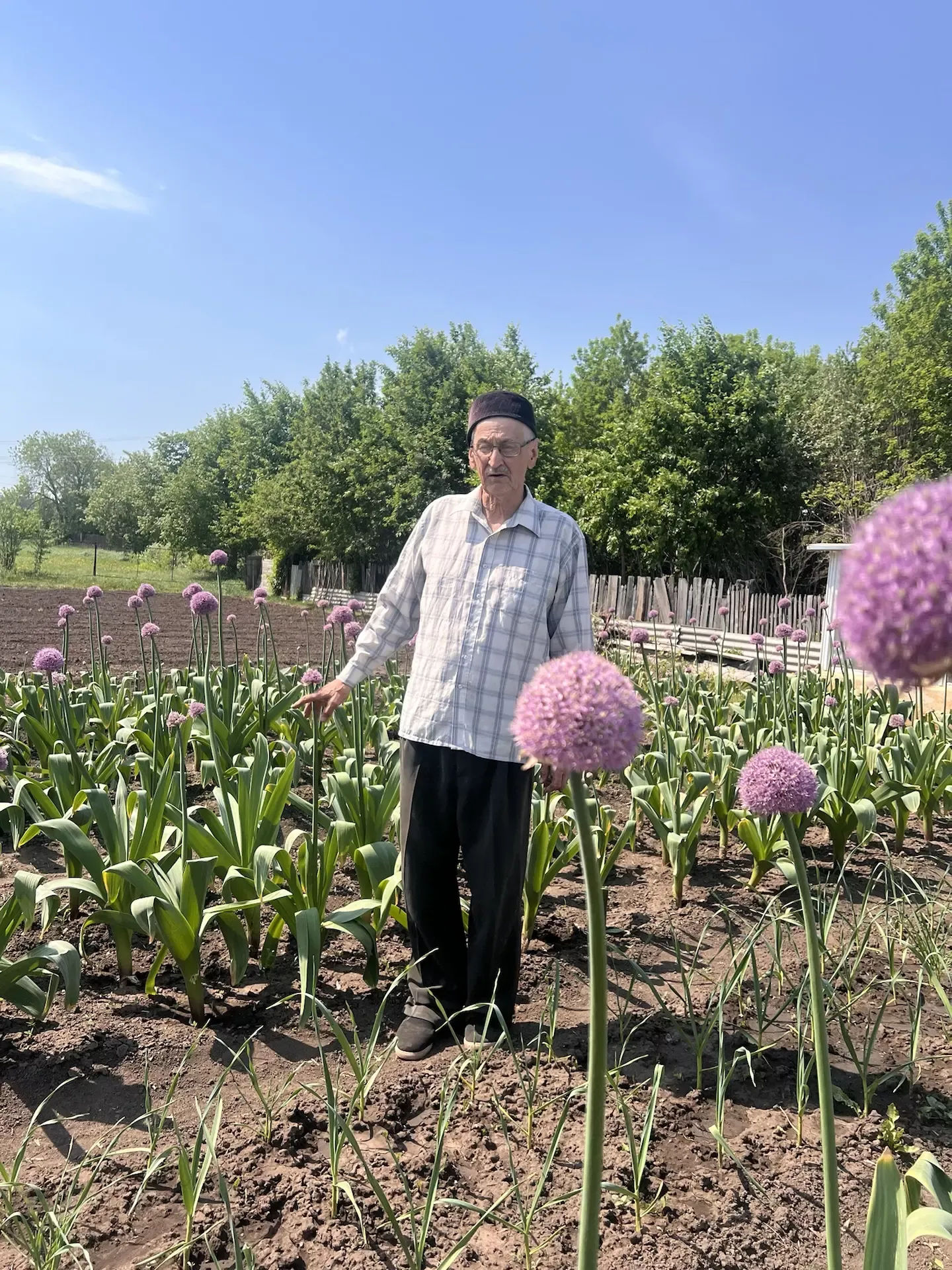 В обычном огороде — необычное чудо
