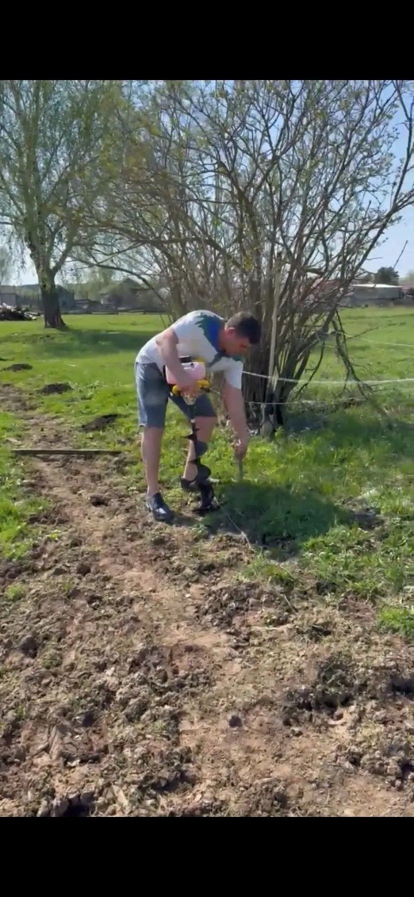 В селе Верхний Берсут высадили «Аллею героев» в память об участниках ВОВ