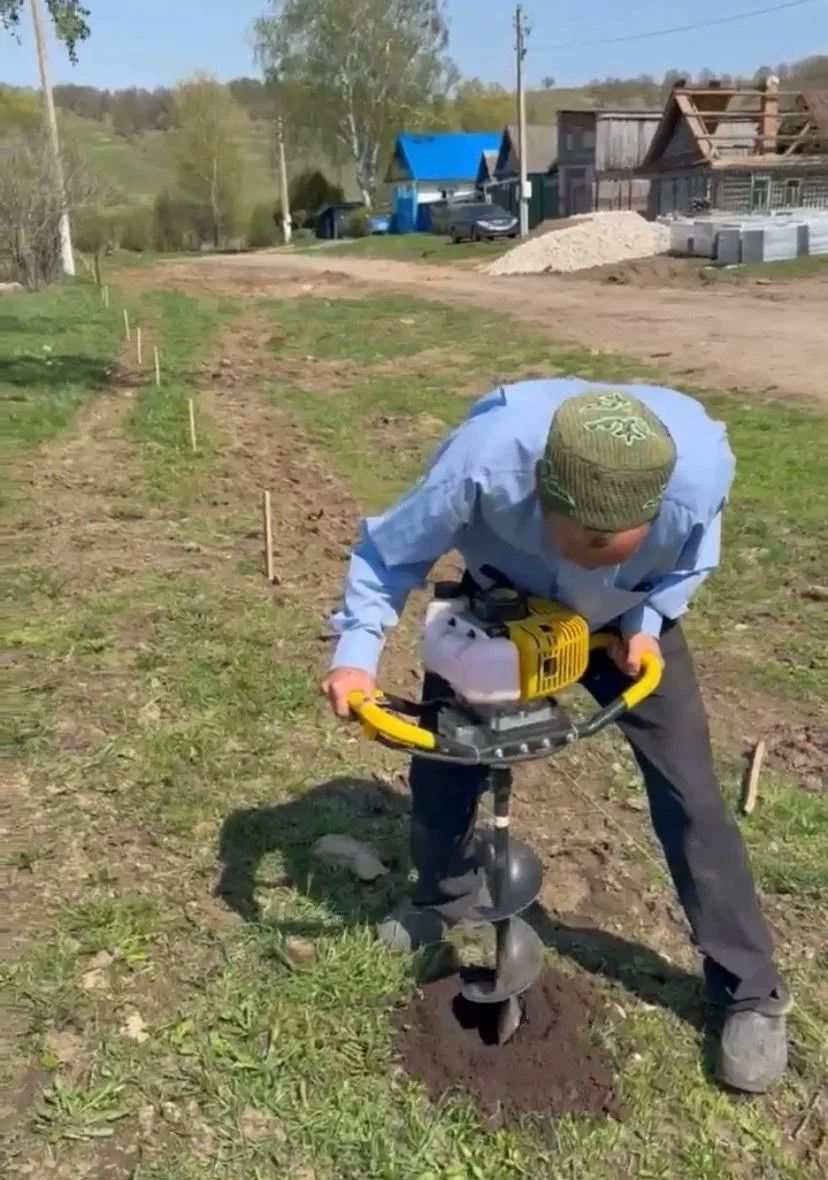 В селе Верхний Берсут высадили «Аллею героев» в память об участниках ВОВ