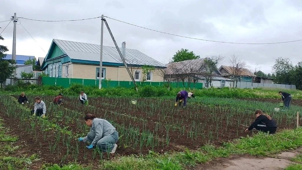 Лето с пользой и душой: как живут пришкольные лагеря в Нижней Суни