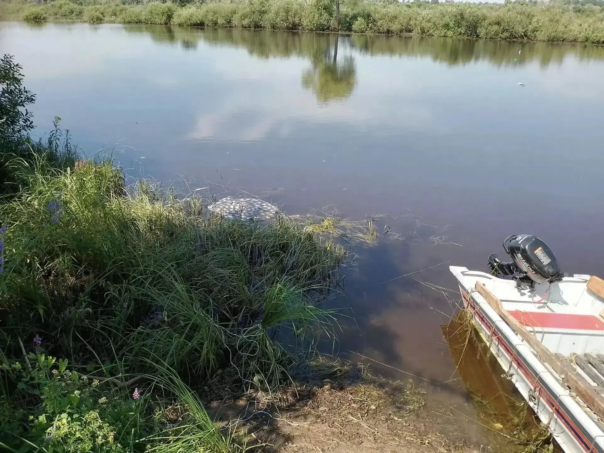 На реке Вятка во время купания утонул мужчина