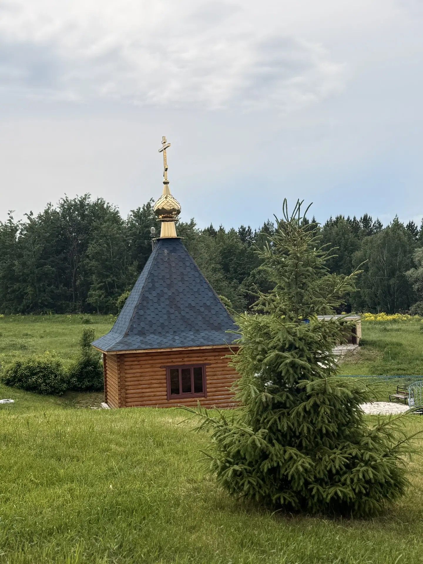 11 августа 2026: Рождество Николая Угодника и Калинник — что можно и нельзя