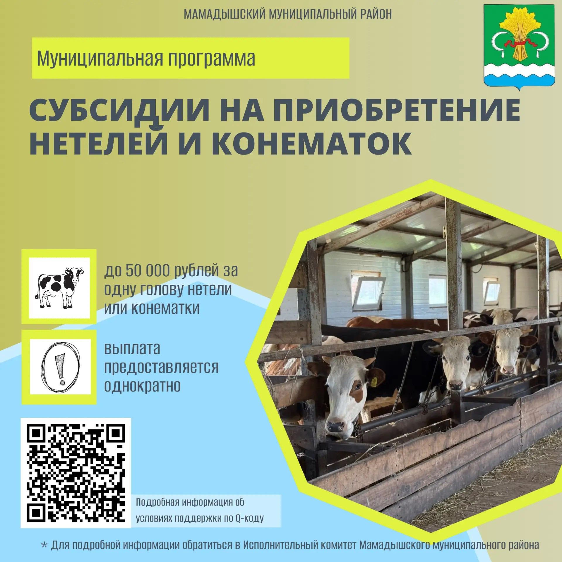 Новые меры поддержки: жильё и помощь хозяйствам в Мамадышском районе
