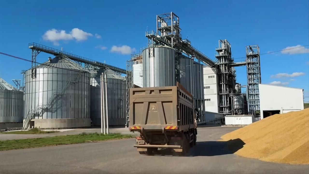 В Мамадышском районе убрано 70% зерновых культур