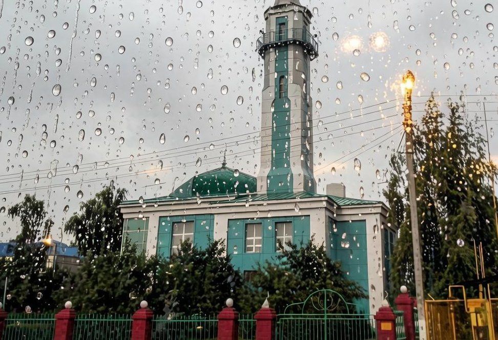В Мамадышском районе завтра ожидается прохладная погода с дождём