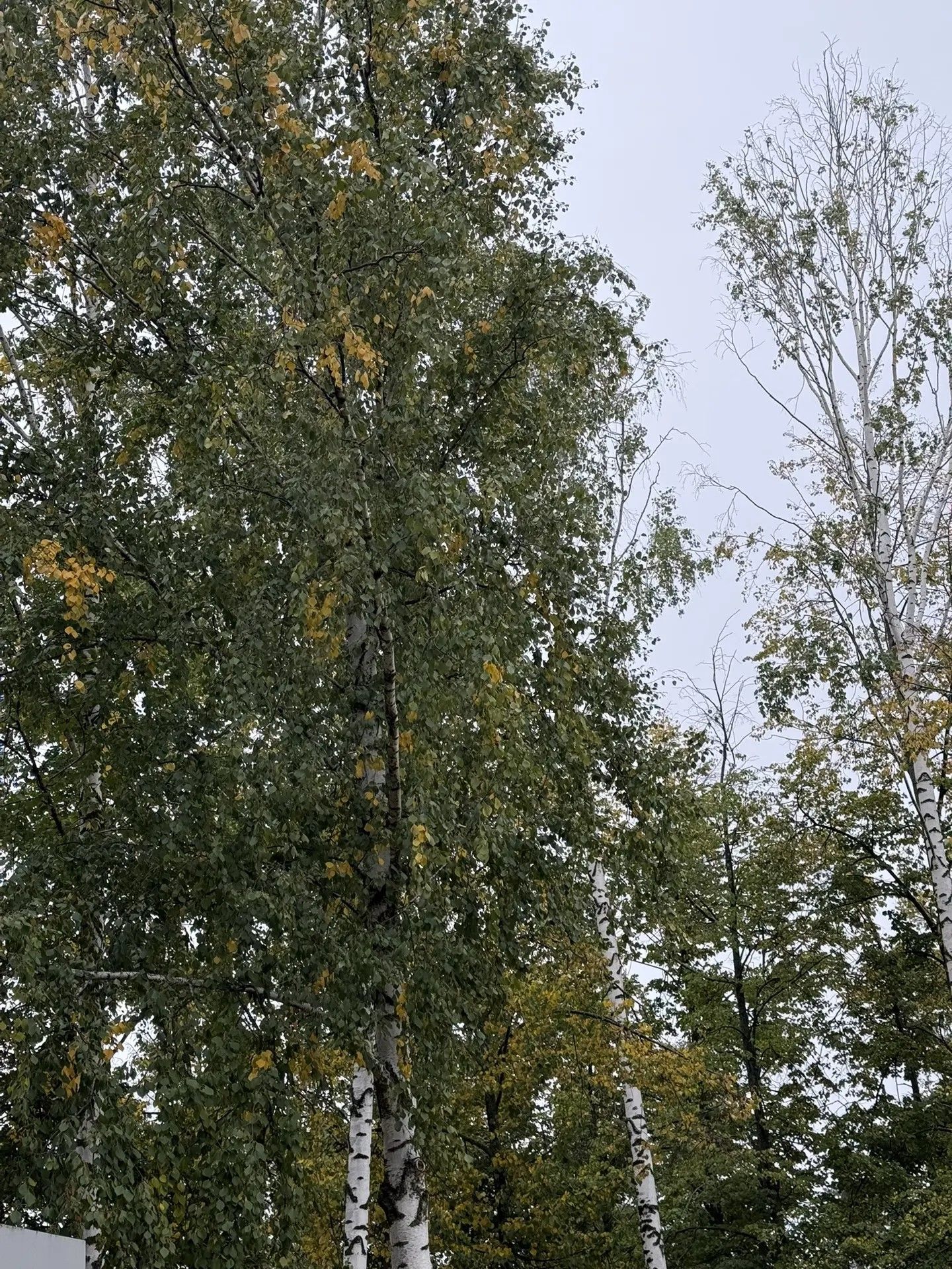 Синоптики дали прогноз погоды на сентябрь в ПФО