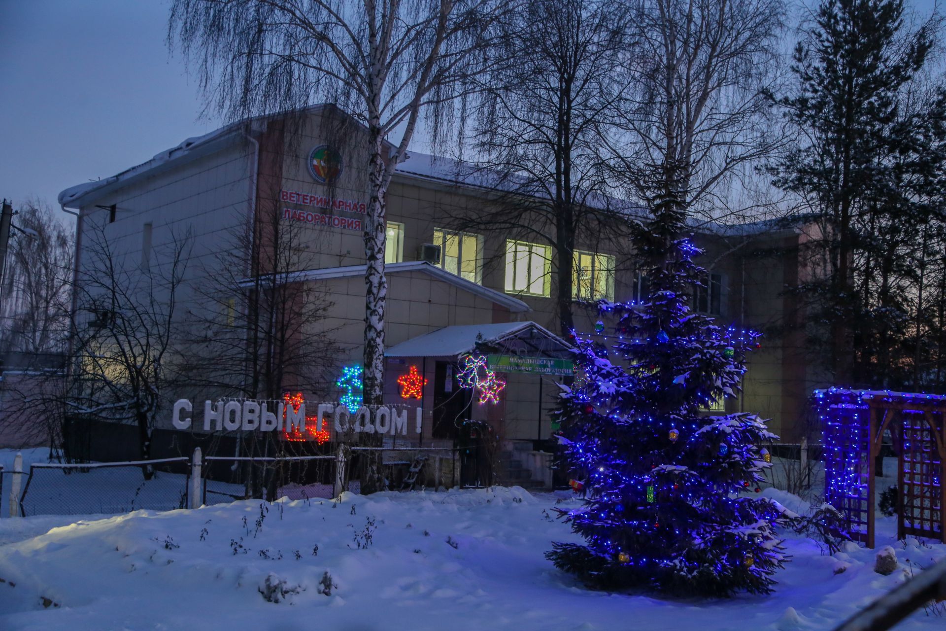 Новогоднее оформление 2025