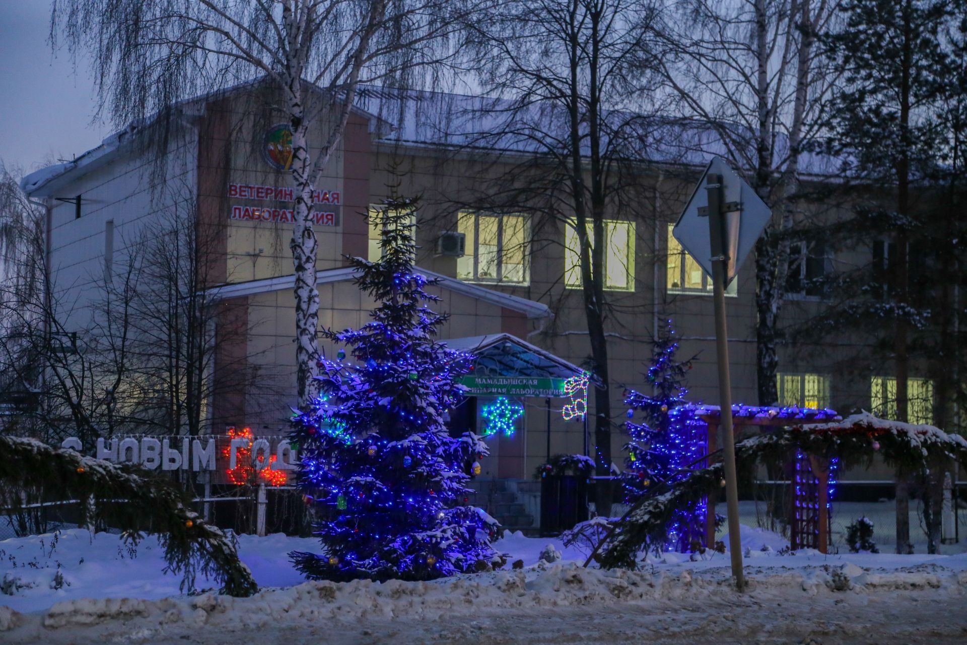 Новогоднее оформление 2025