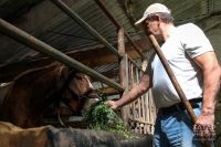 Участники СВО смогут получить грант 7 млн рублей на открытие агробизнеса в РТ