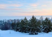 Экстремальные морозы в феврале 2026: прогноз по регионам