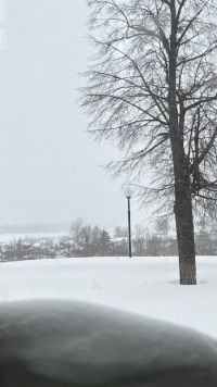 Погода в средней полосе России в начале марта 2026