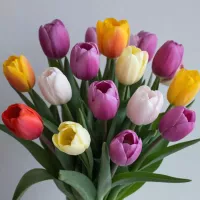 Как выбрать тюльпаны на 8 марта 2026: советы флористов