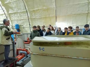 Шестиклассники Мамадыша побывали в гостях у осетровых