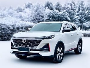 Китай, Япония и Корея: какие иномарки выбирают мамадышцы