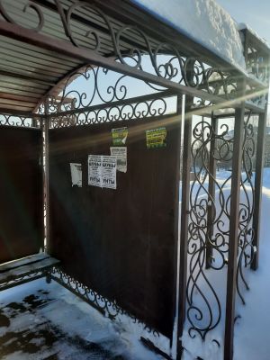 В Мамадыше привлекли  к ответственности расклейщика объявлений