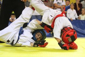 В Казани пройдет чемпионат ПФО по Киокусинкай в честь героев СВО