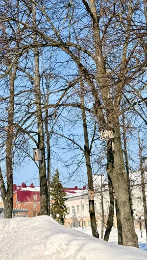 Герасим Грачевник 17 марта 2026: традиции, приметы и строгие запреты дня