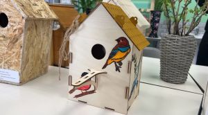 «Квартира мечты» для птиц