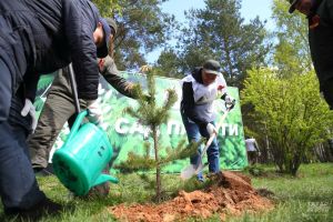 «Сад памяти» в Татарстане стартует 25 апреля