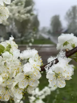 Погода на майские праздники 2026: подробный прогноз по регионам России