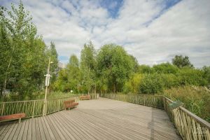 178 общественных зон: старт голосования за благоустройство в Татарстане