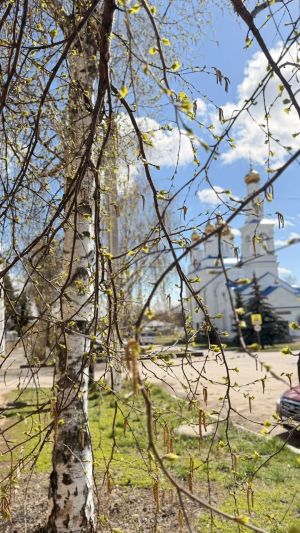 29 апреля: какой праздник, народные приметы, что можно и нельзя делать