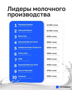 Мамадышское предприятие признано абсолютным лидером молочной отрасли