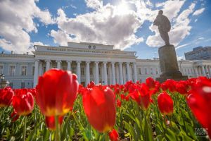 Прием документов выходит на финишную прямую на бюджетные места в университеты