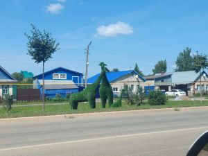 Обновлённые фигуры шестиметровых жирафов снова украшают улицу Мамадыша