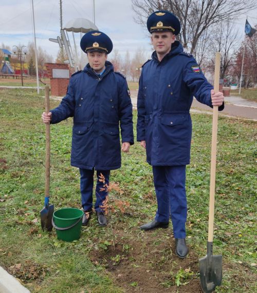 Сотрудники прокуратуры Мамадышского района приняли участие в посадке деревьев