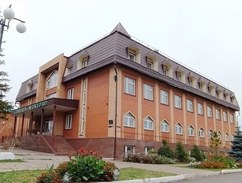 Детская школа искусств Мамадыша выиграла конкурс грантов