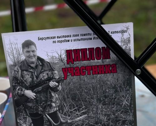 В память о мастере: выставка охотничьих собак объединила людей со всей России