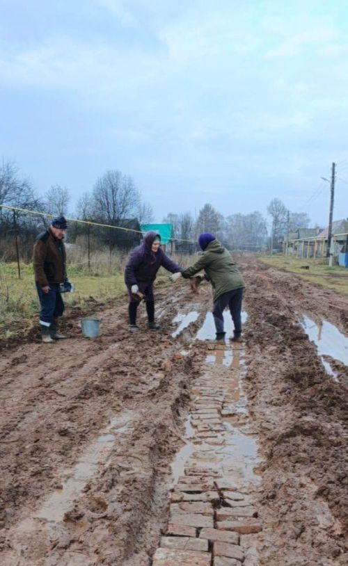 Жители деревни Васильево своими силами приводят в порядок дорогу