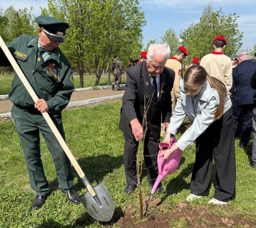 80 лип в память о героях: в Мамадыше высадили «Сад памяти»