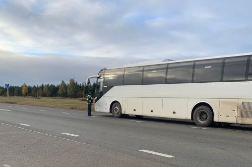 В Мамадыше провели профилактическую акцию «Тоннель»